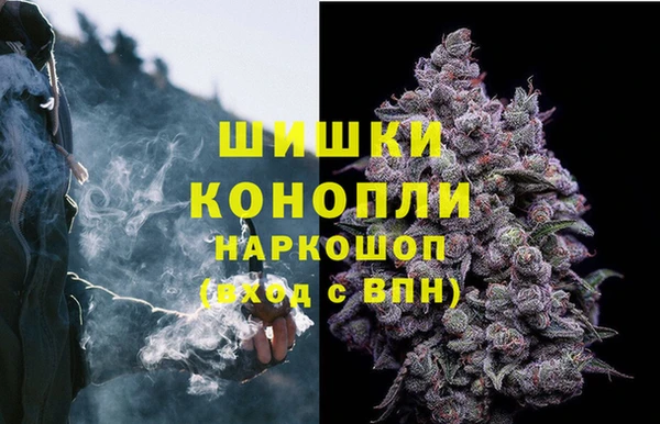 Альфа ПВП Карталы