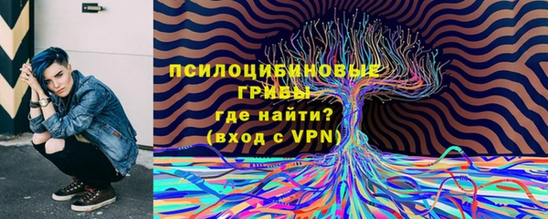 Альфа ПВП Карталы