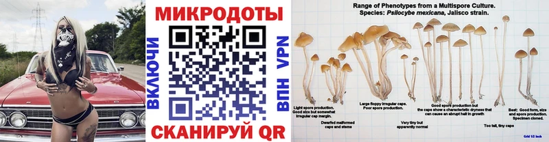 наркота  Кочубеевское  Псилоцибиновые грибы мицелий 
